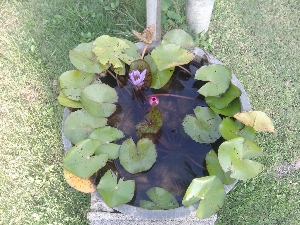 Angel Lanta Bungalow Ko Lanta 外观 照片