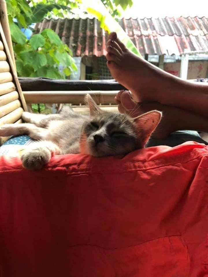 Angel Lanta Bungalow Ko Lanta 外观 照片